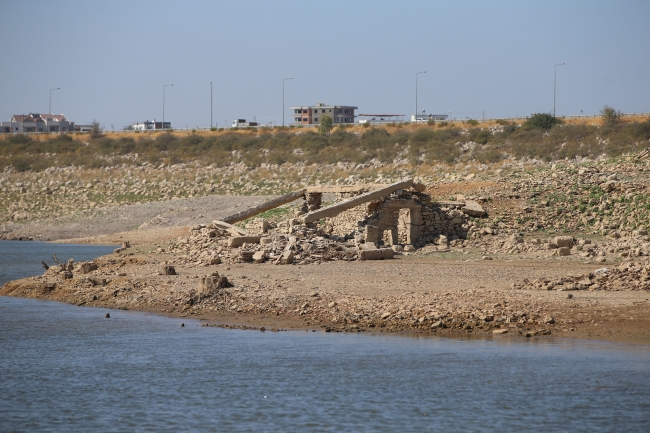 Bodrum'da kuraklık alarmı: Mumcular Barajı yüzde 10'un altına indi